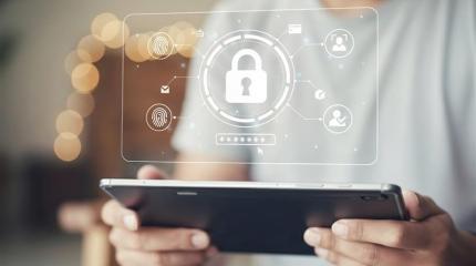 seguridad cibernetica seguridad cibernetica